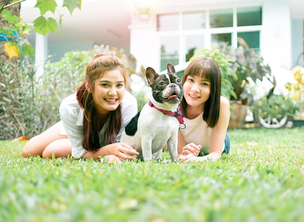 girls-with-dog-lawn