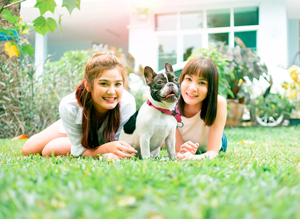 lush-lawn-franchise-beautiful-lawn-service-home1